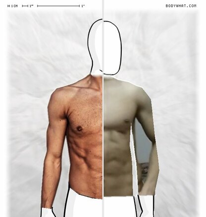 Torso Comparison