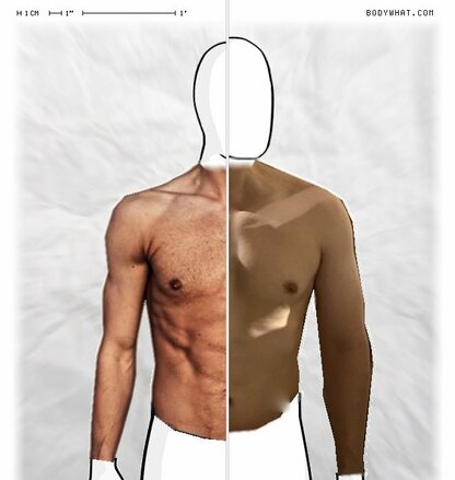 Torso Comparison