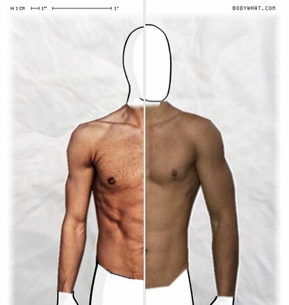 Torso Comparison