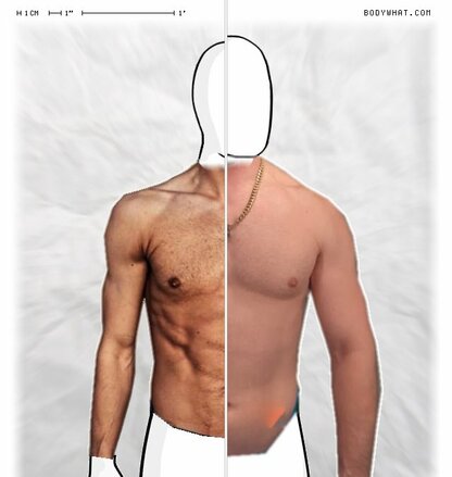 Torso Comparison