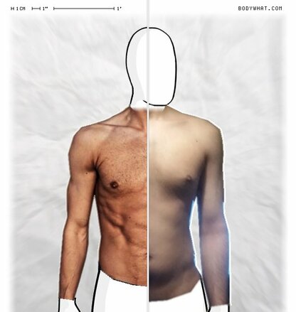 Torso Comparison