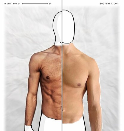 Torso Comparison