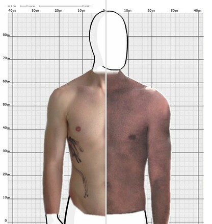 Torso Comparison