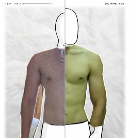 Torso Comparison