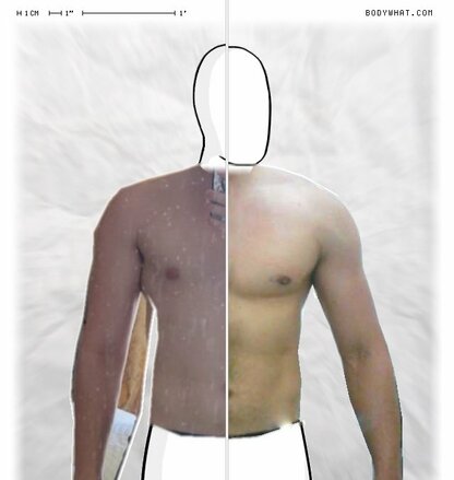 Torso Comparison