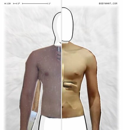 Torso Comparison