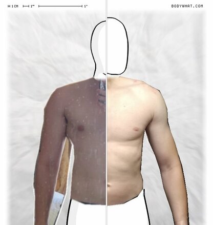 Torso Comparison