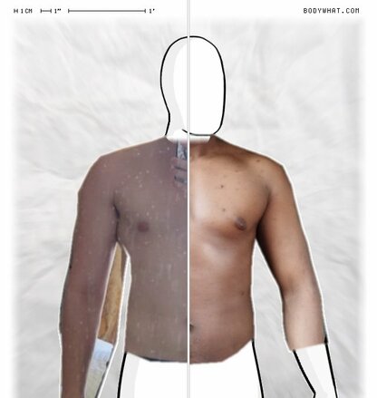 Torso Comparison