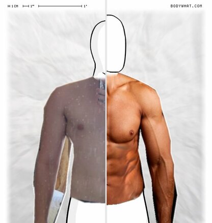 Torso Comparison