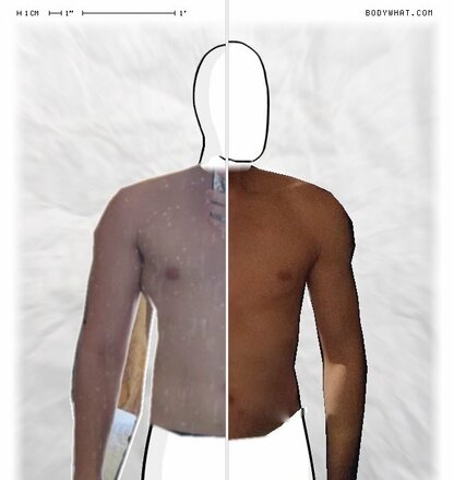 Torso Comparison