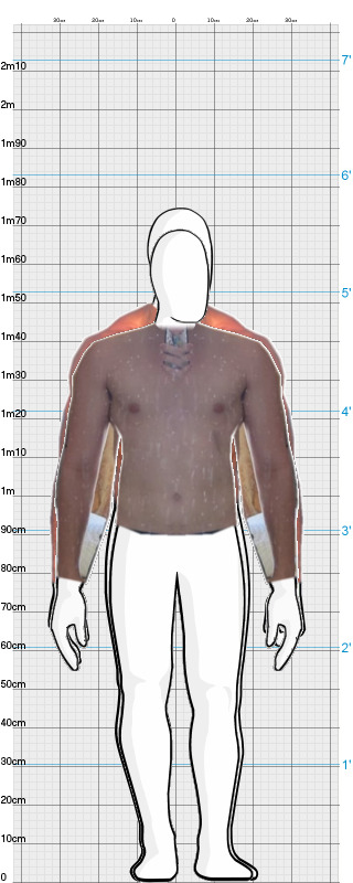 Full Size Comparison