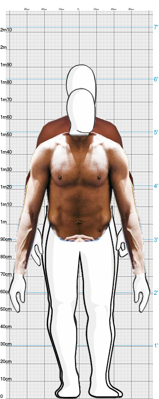 Full Size Comparison