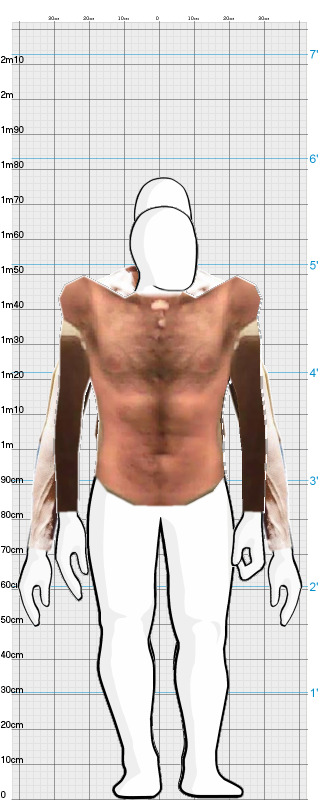 Full Size Comparison