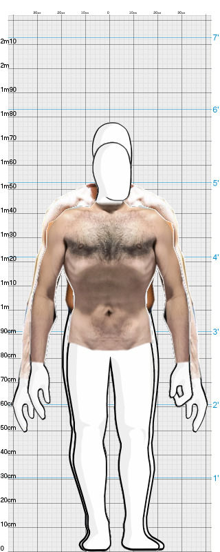 Full Size Comparison