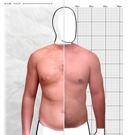 Torso Comparison