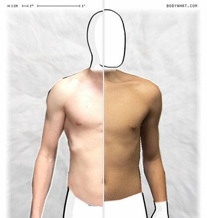 Torso Comparison