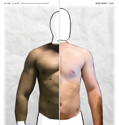 Torso Comparison