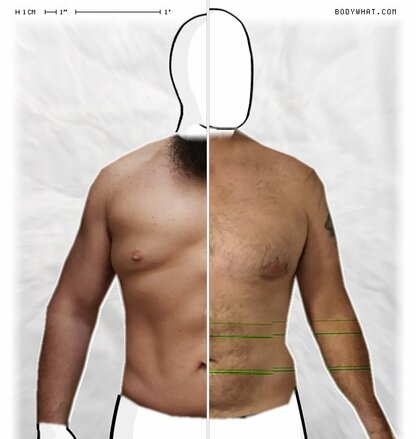 Torso Comparison