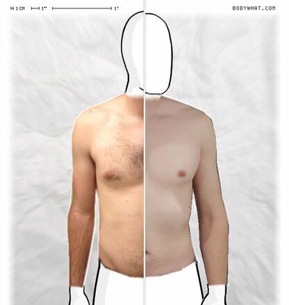 Torso Comparison