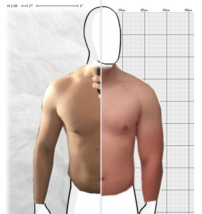 Torso Comparison