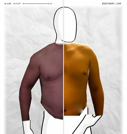 Torso Comparison