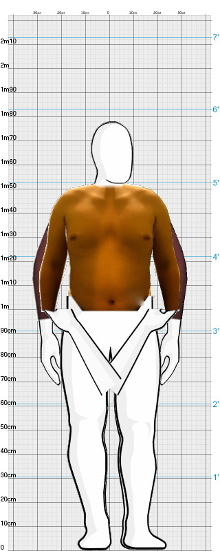 Full Size Comparison