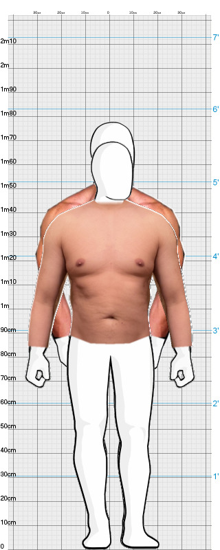 Full Size Comparison