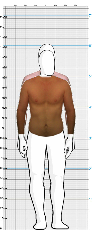 Full Size Comparison