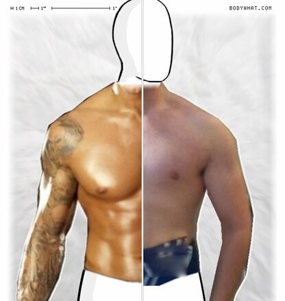 Torso Comparison