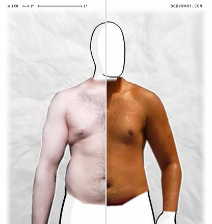 Torso Comparison