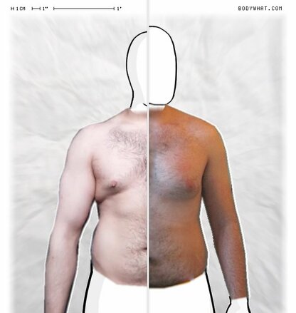 Torso Comparison