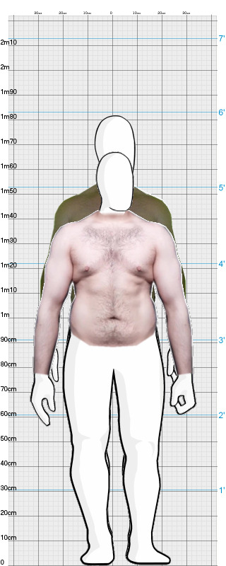 Full Size Comparison