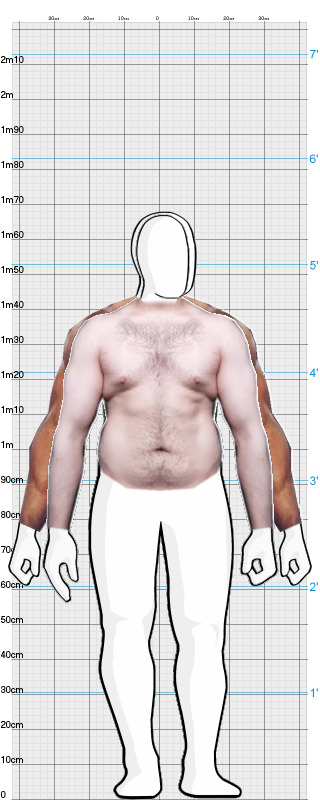 Full Size Comparison