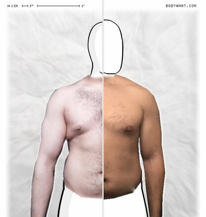 Torso Comparison