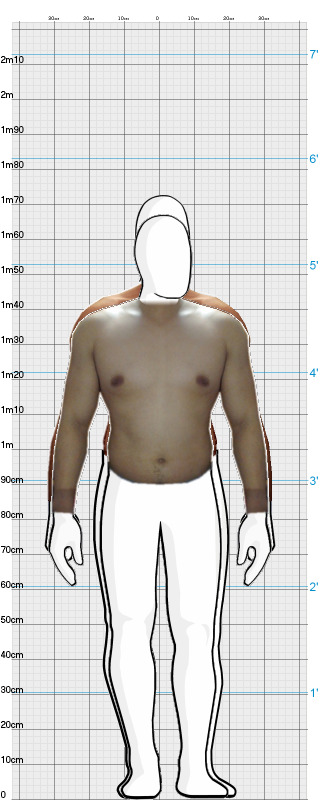 Full Size Comparison