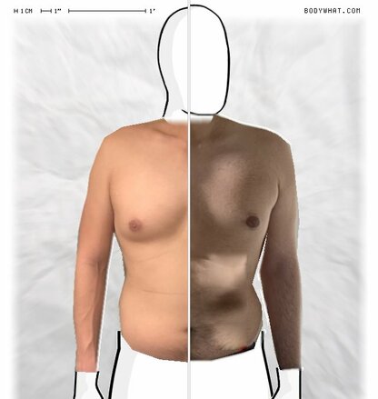 Torso Comparison