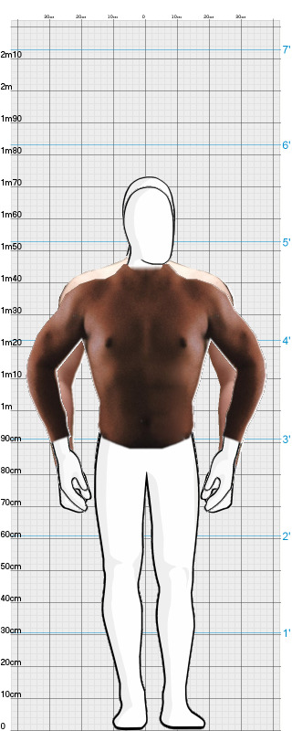 Full Size Comparison