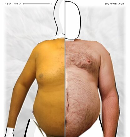 Torso Comparison