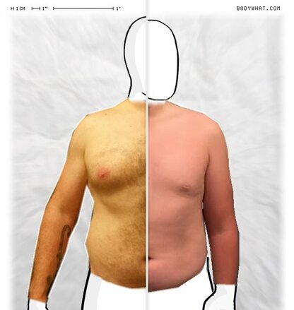 Torso Comparison