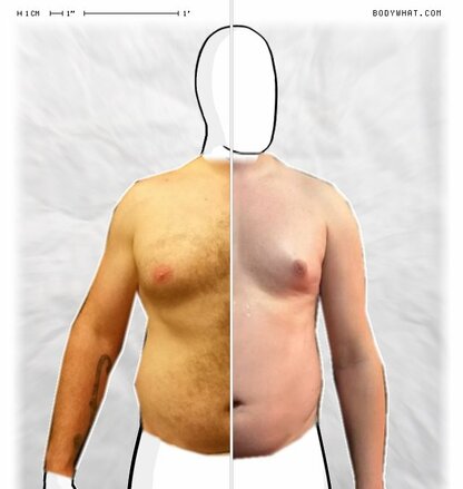 Torso Comparison