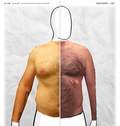 Torso Comparison