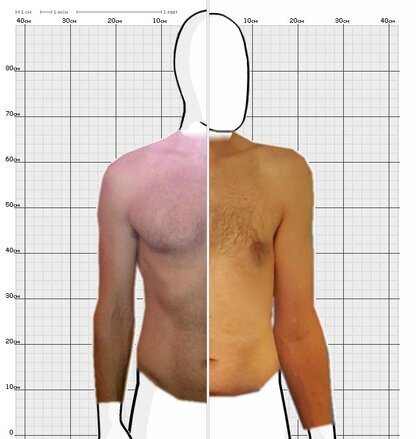 Torso Comparison