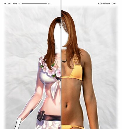 Torso Comparison