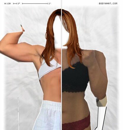 Torso Comparison