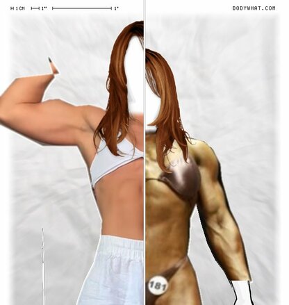 Torso Comparison