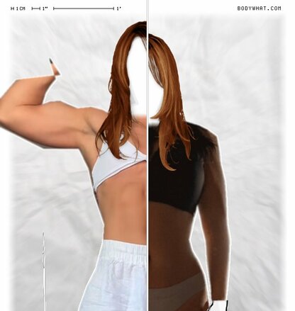 Torso Comparison