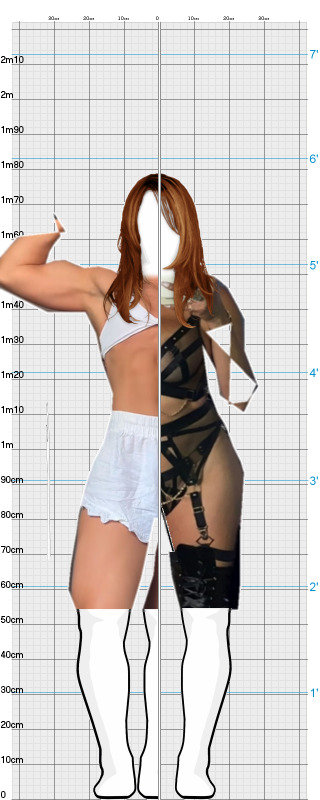 Full Size Comparison