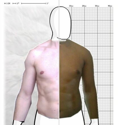 Torso Comparison