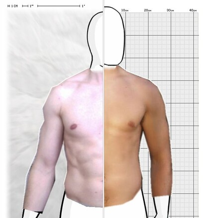 Torso Comparison