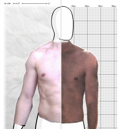 Torso Comparison